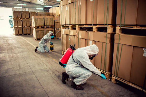  Atlanta, IL Pest Control Pros