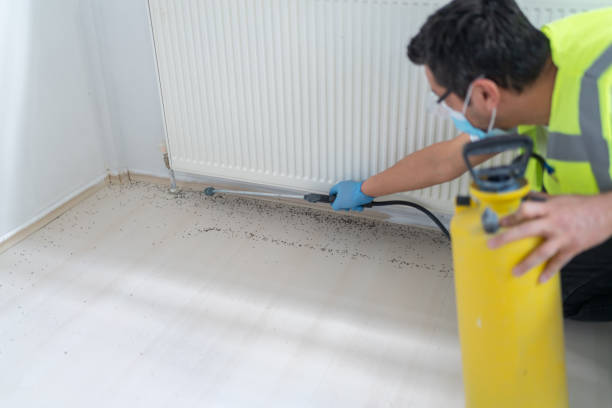 Best Affordable Pest Control Services  in Atlanta, IL