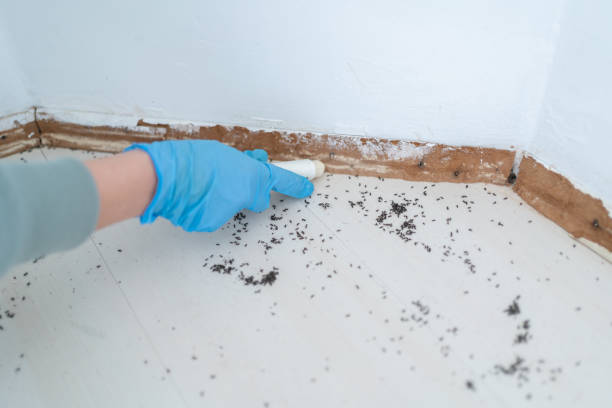 Best Commercial Pest Control Services  in Atlanta, IL
