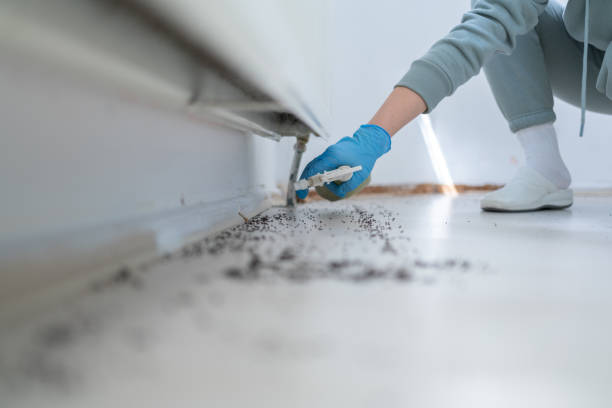 Reliable Atlanta, IL Pest Control Solutions