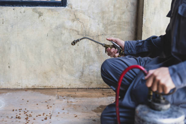 Best Best Pest Control Companies  in Atlanta, IL